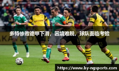 ng娱乐