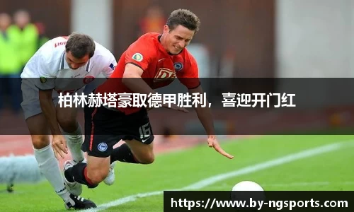 ng体育