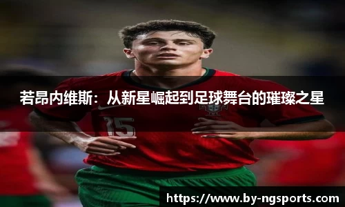 ng体育